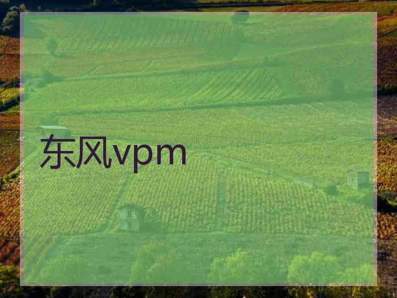 东风vpm