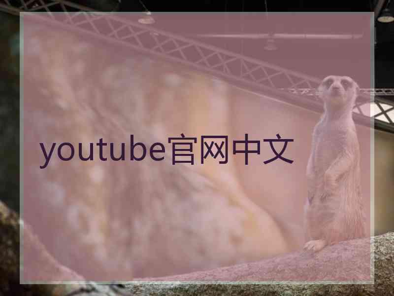 youtube官网中文