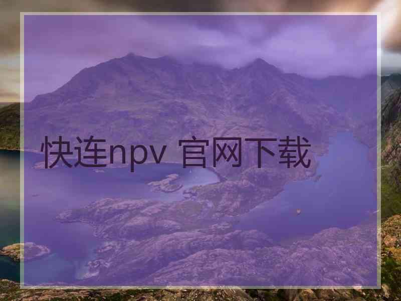 快连npv 官网下载