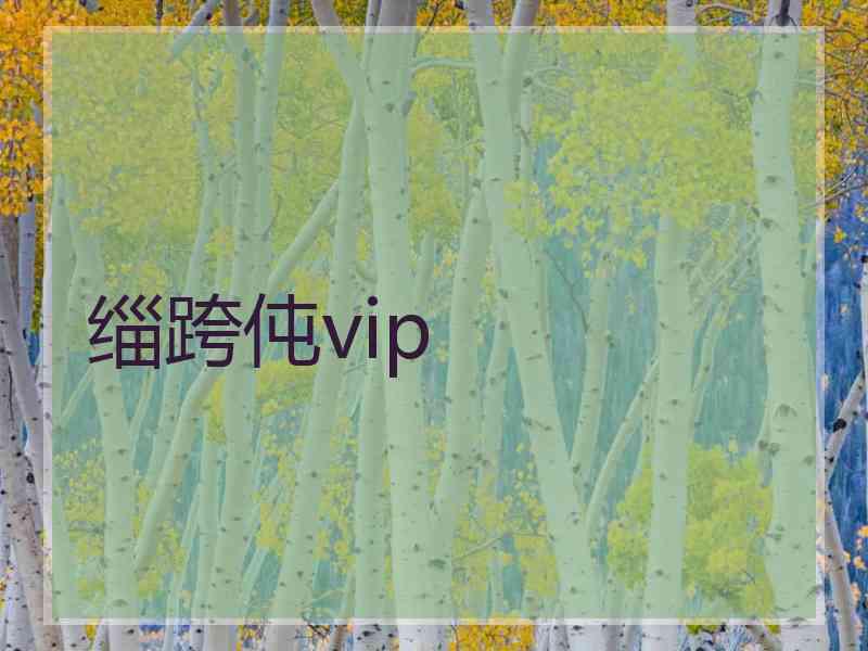 缁跨伅vip