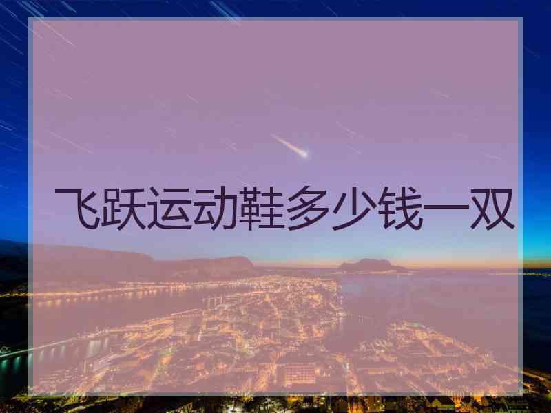 飞跃运动鞋多少钱一双