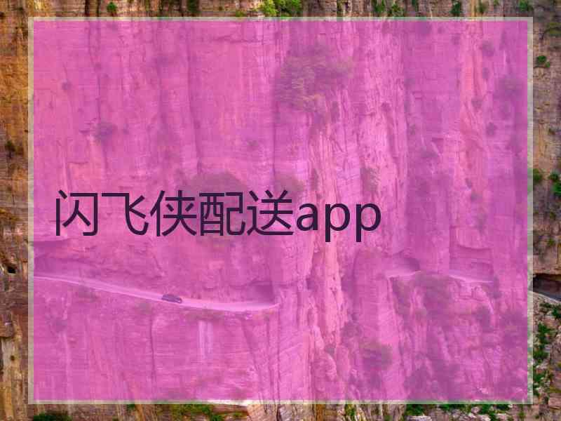 闪飞侠配送app