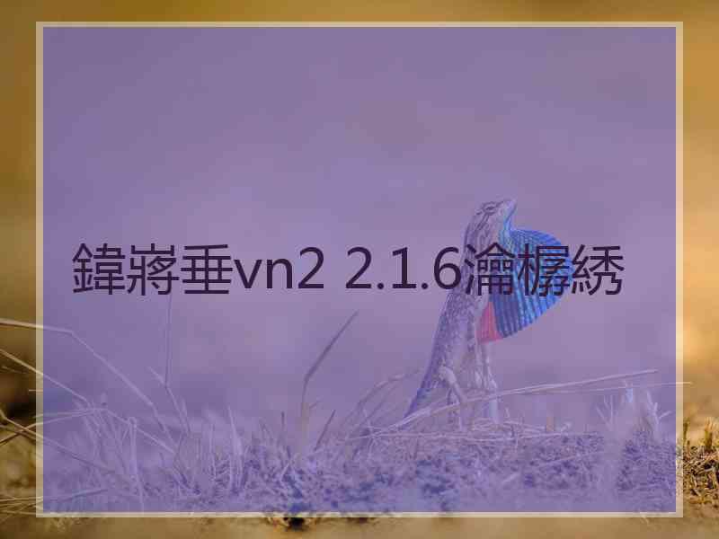 鍏嶈垂vn2 2.1.6瀹樼綉