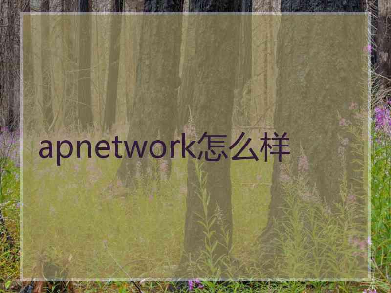 apnetwork怎么样