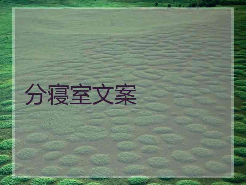分寝室文案