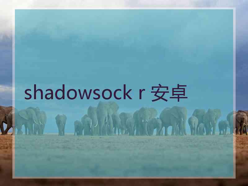 shadowsock r 安卓