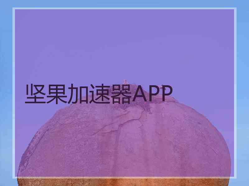 坚果加速器APP