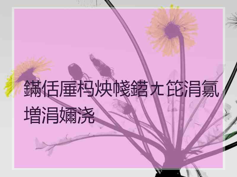 鏋佸厜杩炴帴鍣ㄤ笓涓氱増涓嬭浇