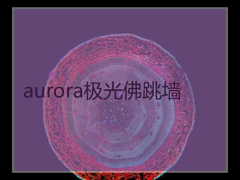 aurora极光佛跳墙