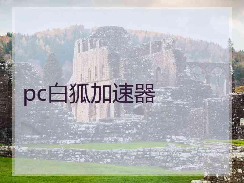 pc白狐加速器