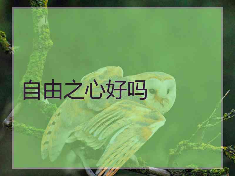 自由之心好吗