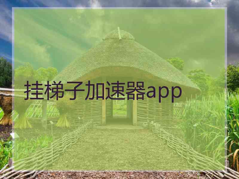 挂梯子加速器app