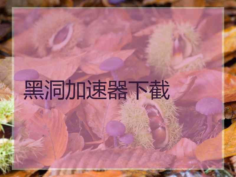 黑洞加速器下截