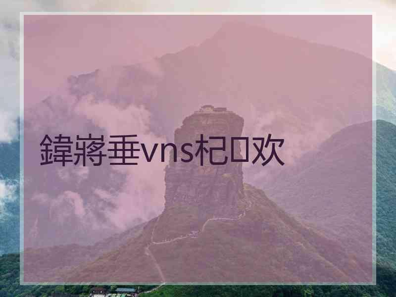 鍏嶈垂vns杞欢