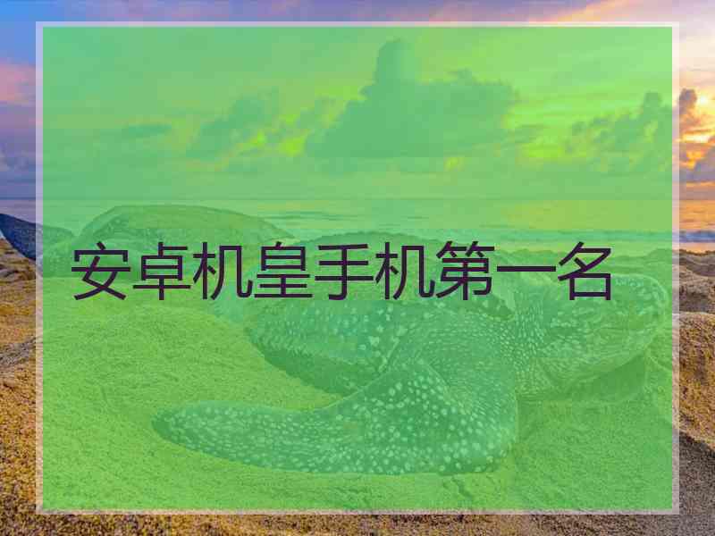 安卓机皇手机第一名