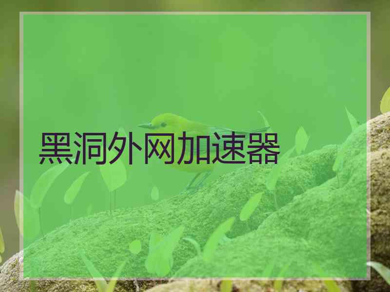 黑洞外网加速器