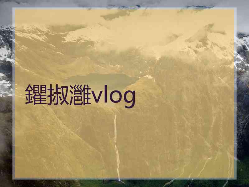 鑺掓灉vlog