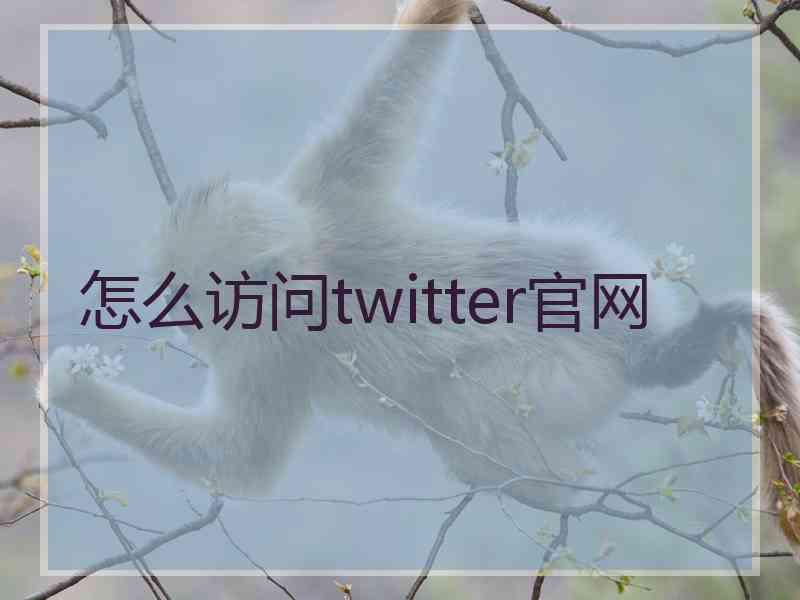 怎么访问twitter官网