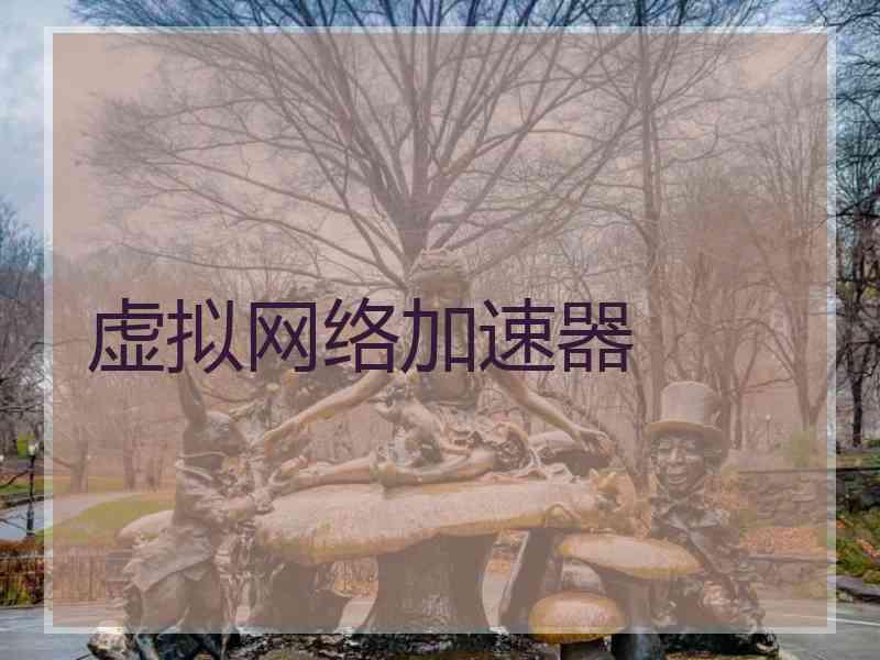 虚拟网络加速器