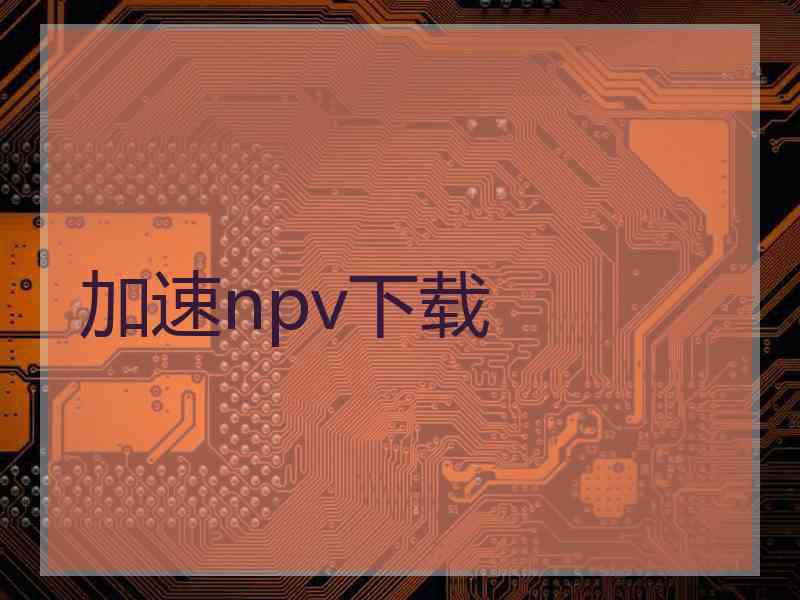 加速npv下载