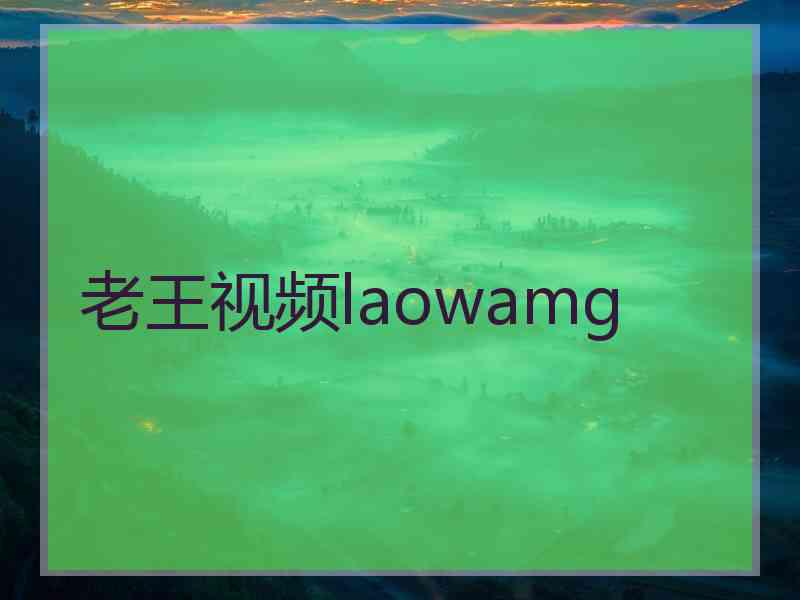 老王视频laowamg