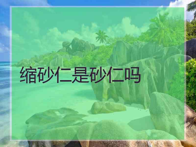 缩砂仁是砂仁吗