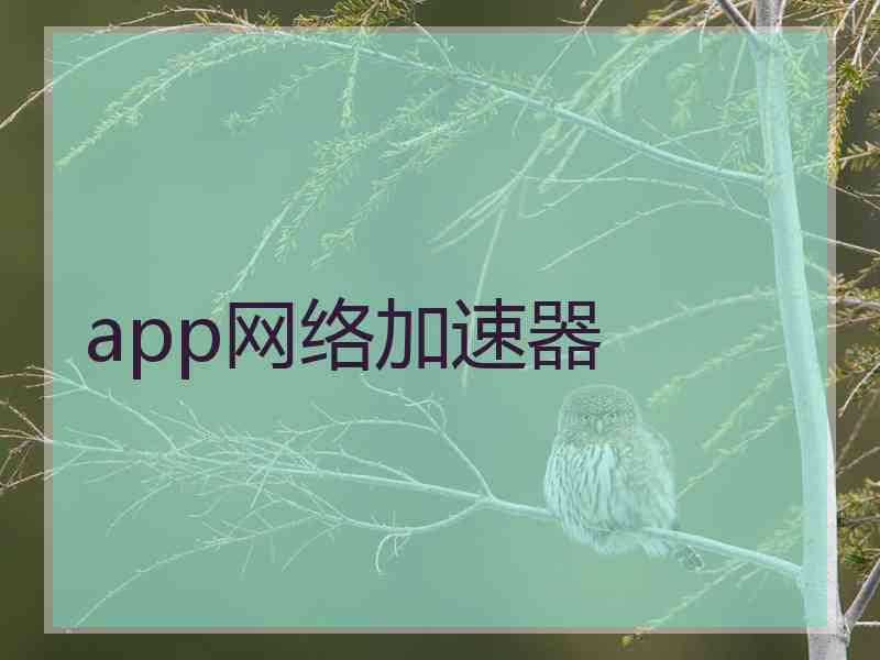 app网络加速器