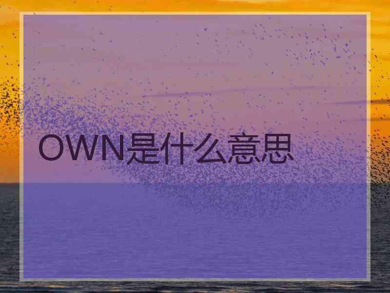 OWN是什么意思
