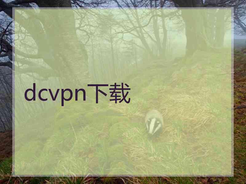 dcvpn下载