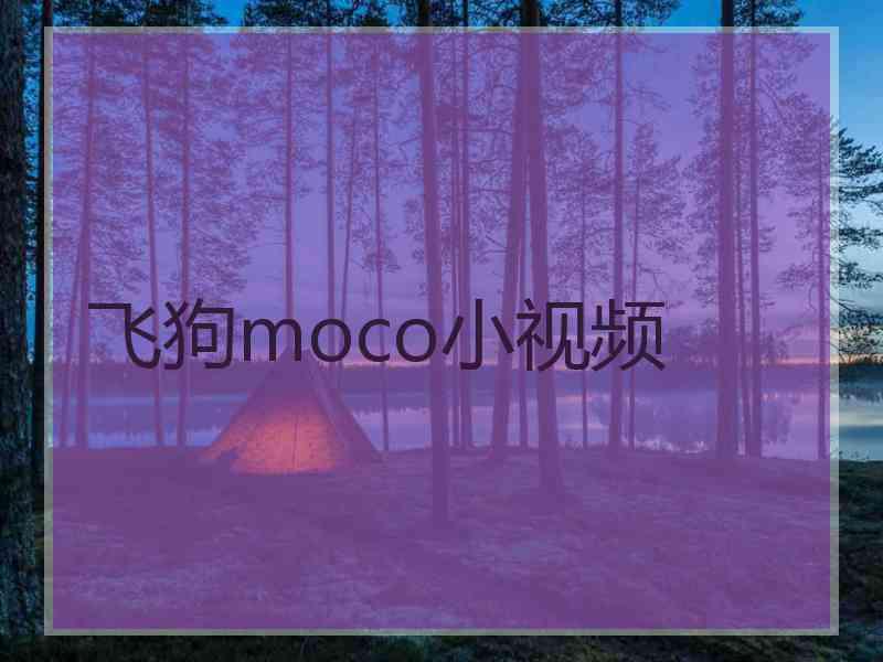 飞狗moco小视频