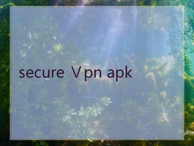 secure Ⅴpn apk