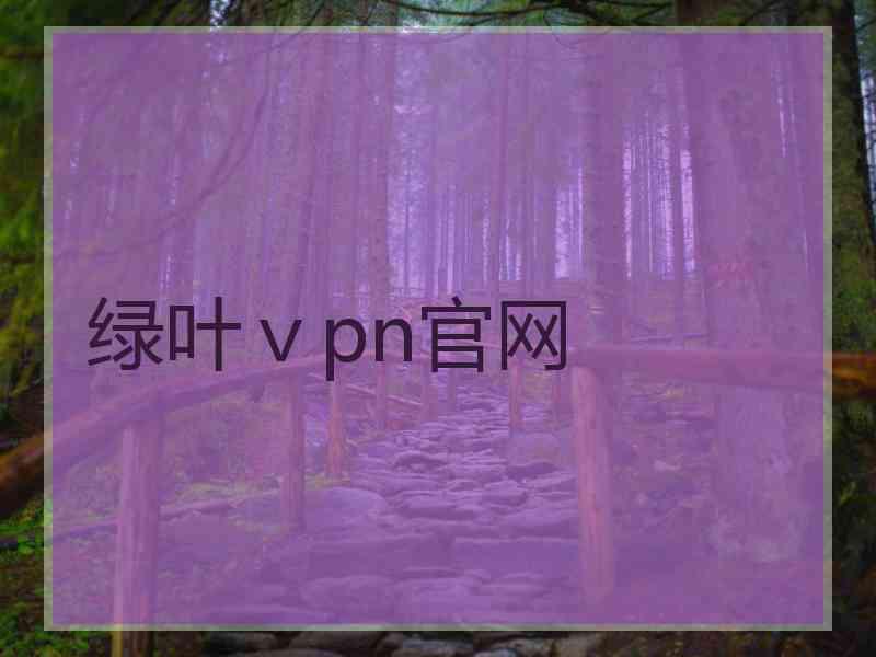 绿叶ⅴpn官网