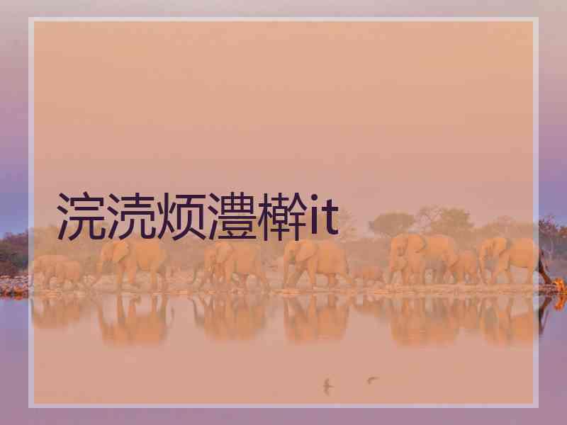 浣涜烦澧檊it