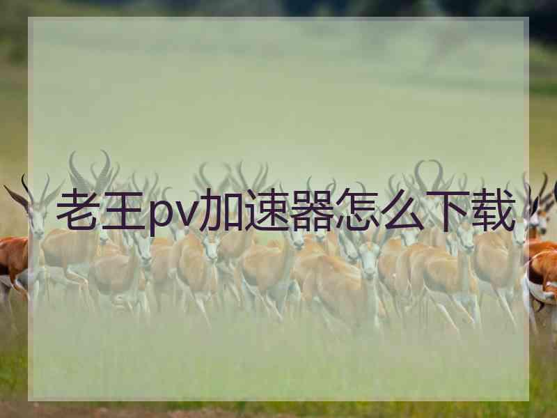 老王pv加速器怎么下载