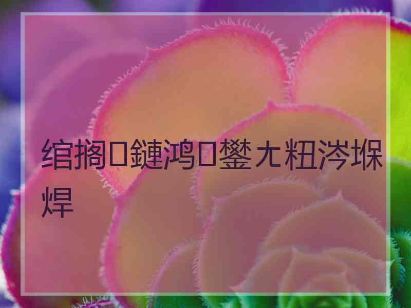 绾搁鏈鸿鐢ㄤ粈涔堢焊