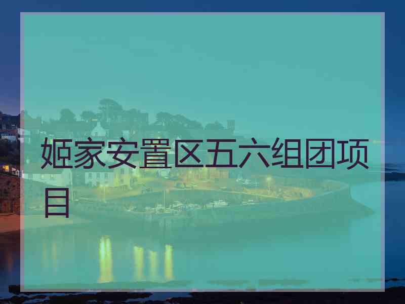 姬家安置区五六组团项目