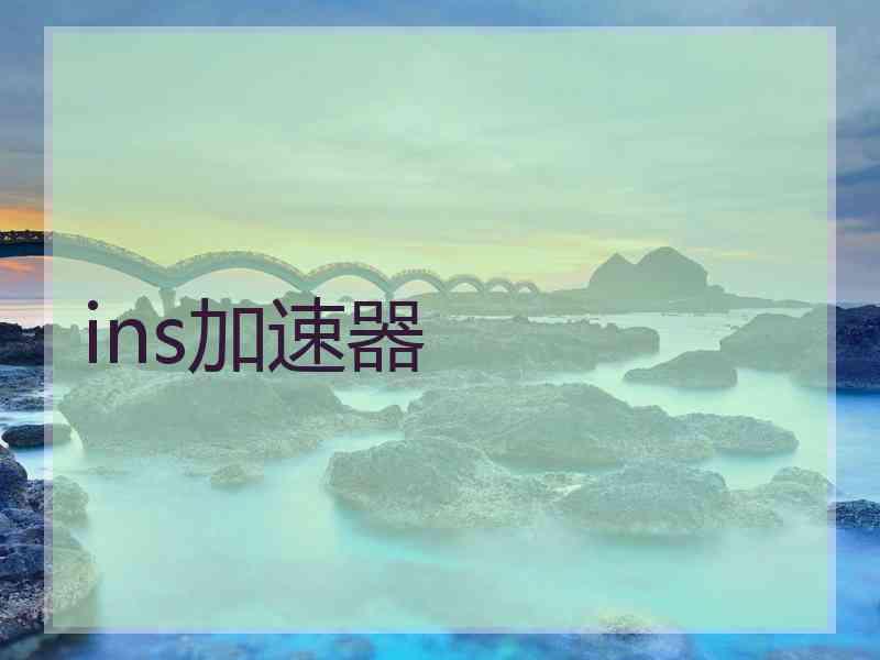 ins加速器