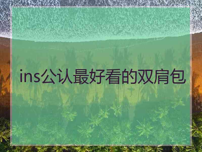 ins公认最好看的双肩包