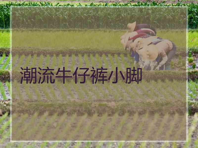 潮流牛仔裤小脚