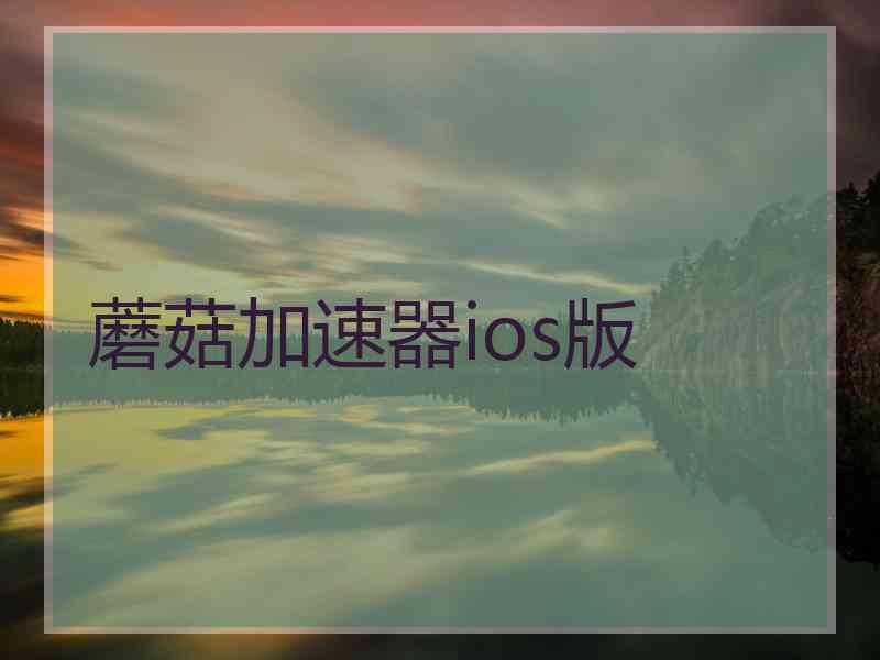 蘑菇加速器ios版