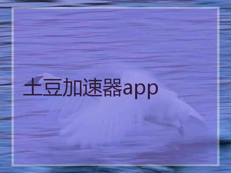 土豆加速器app