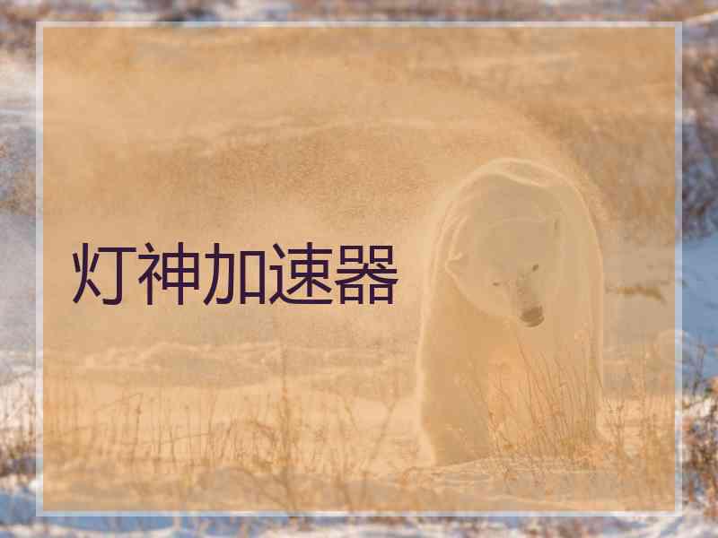 灯神加速器