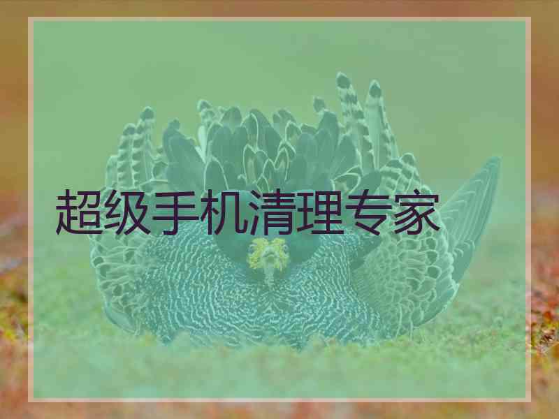 超级手机清理专家