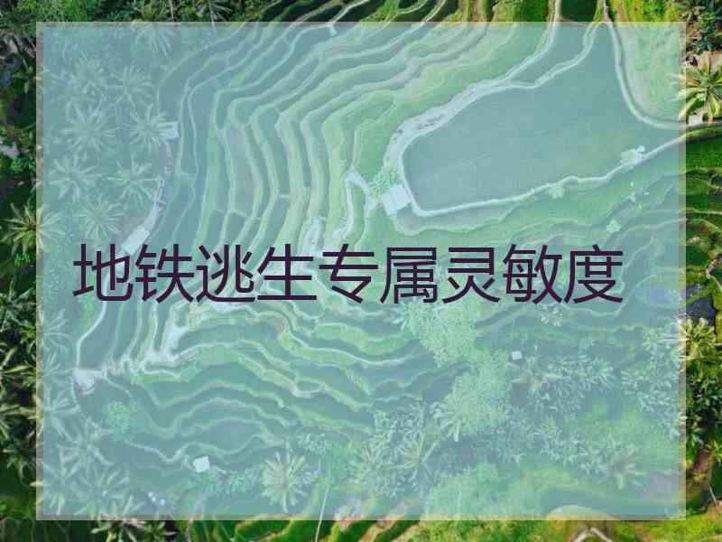 地铁逃生专属灵敏度