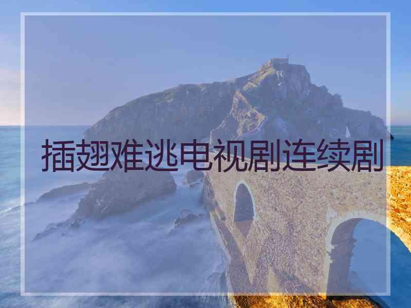 插翅难逃电视剧连续剧