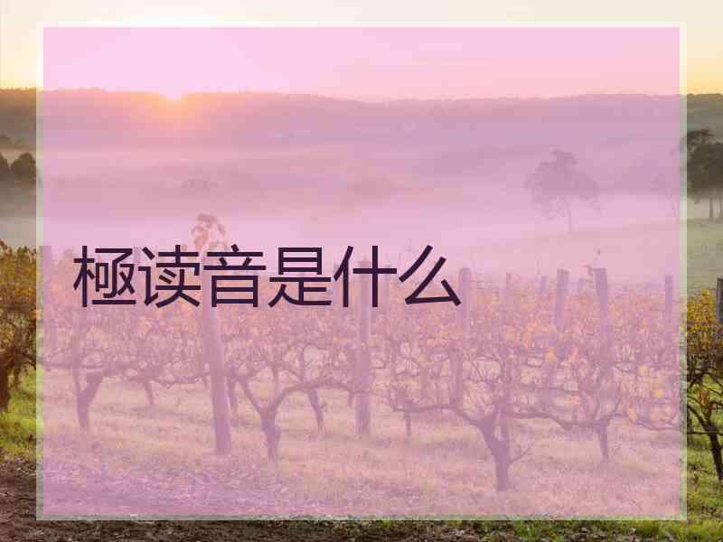 極读音是什么