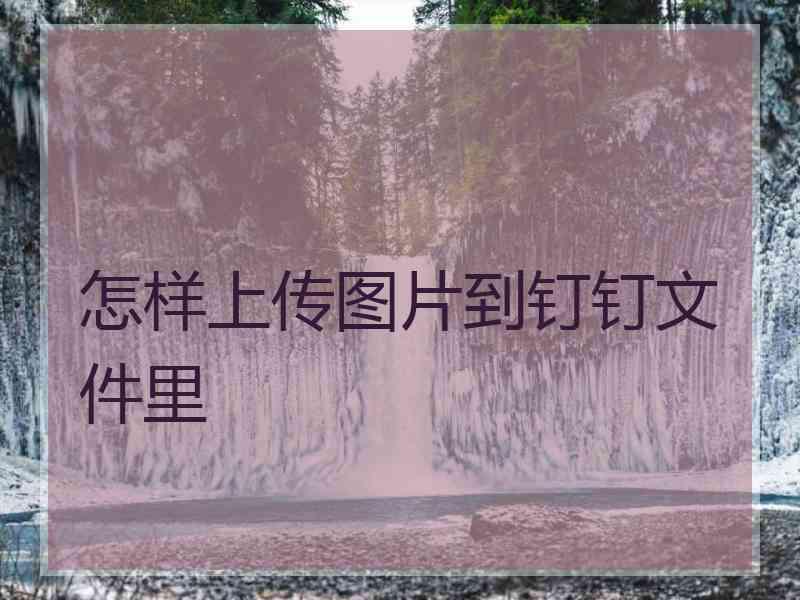 怎样上传图片到钉钉文件里