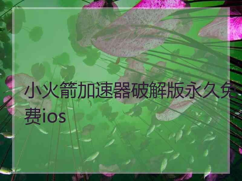 小火箭加速器破解版永久免费ios