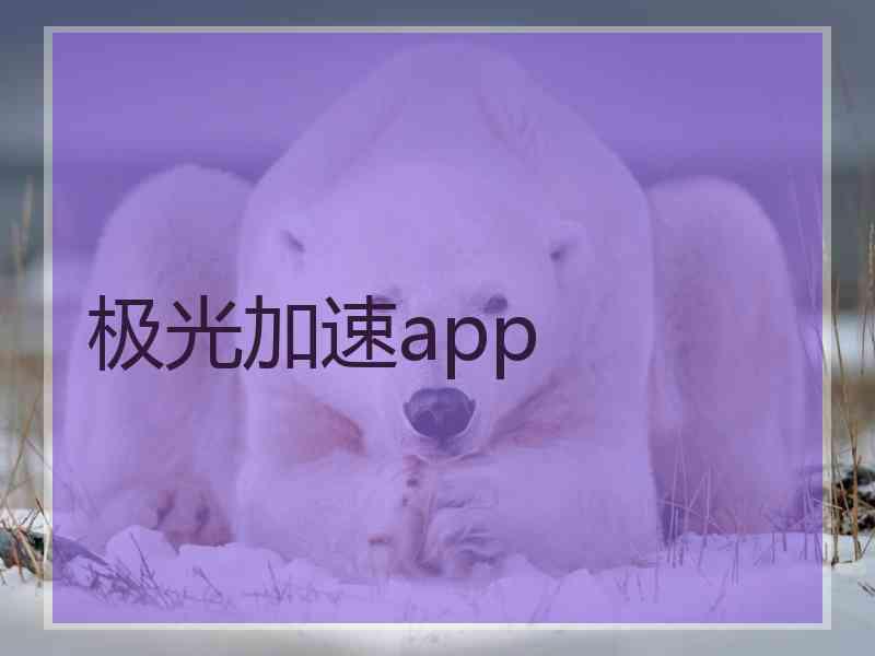 极光加速app