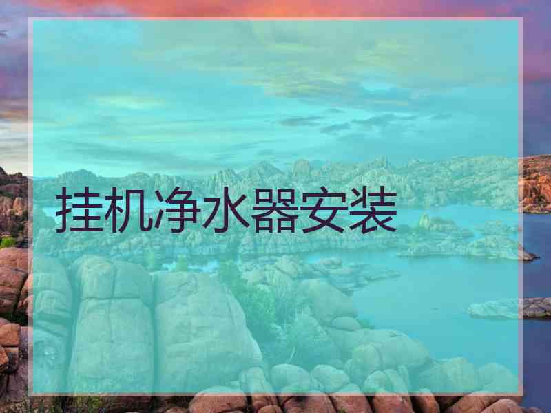 挂机净水器安装